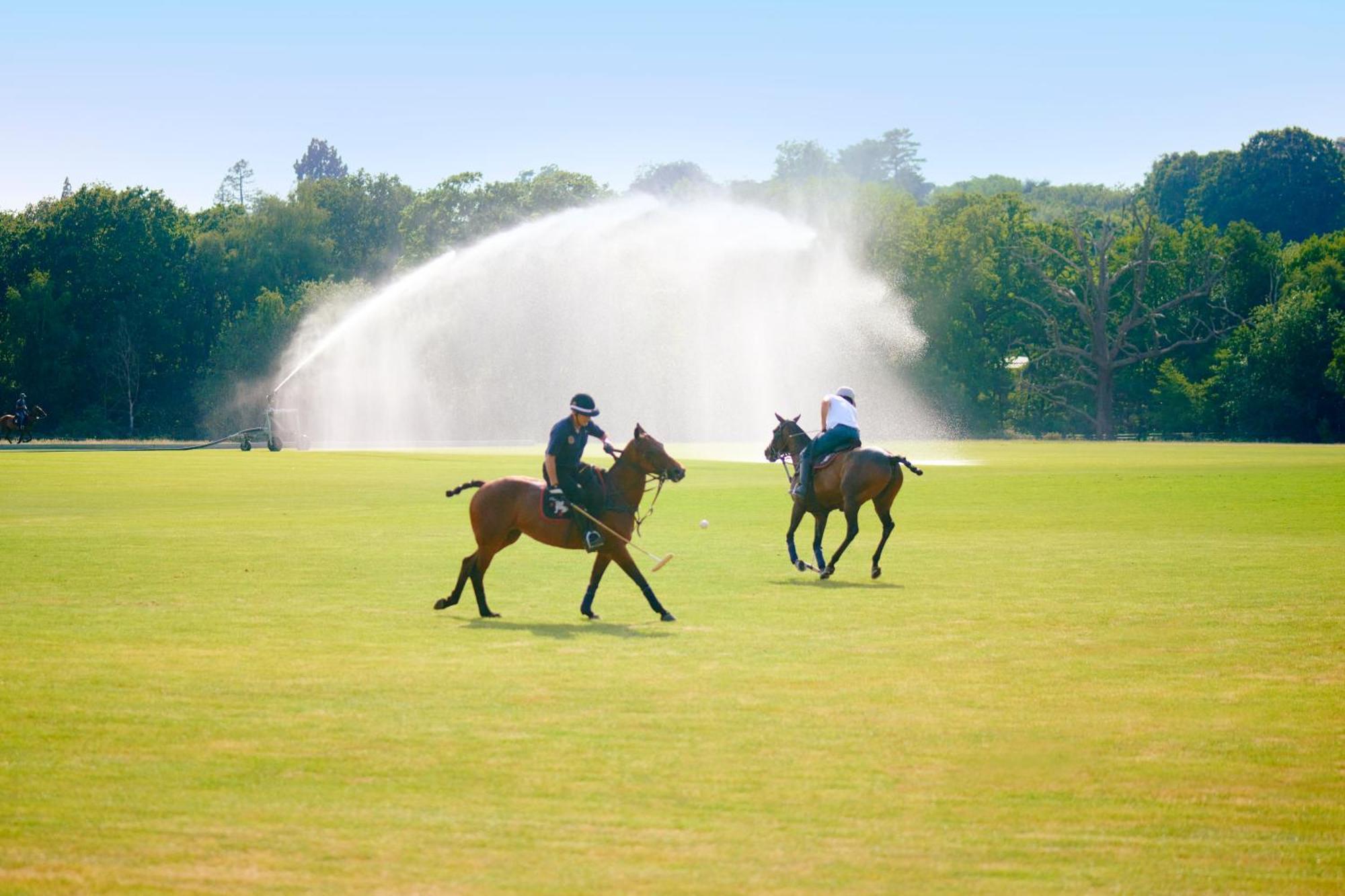 Coworth Park - Dorchester Collection Ascot  Eksteriør billede